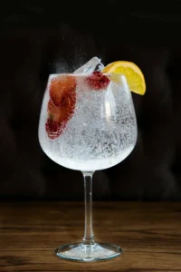 coctel gin tonic clasico y preparado