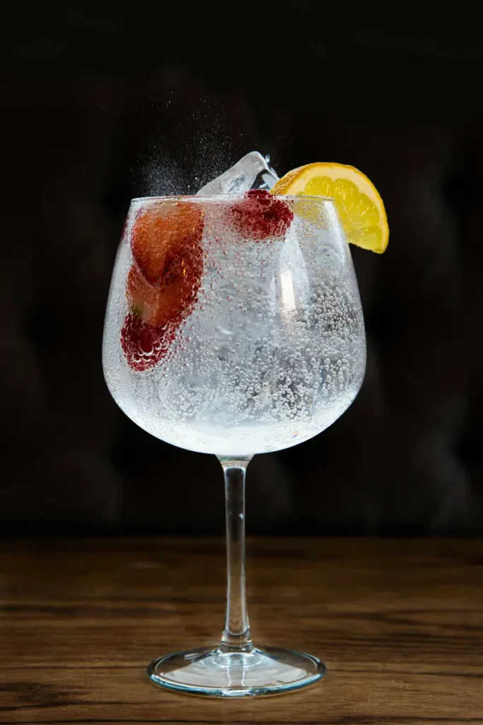 coctel gin tonic clasico y preparado